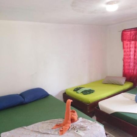 טורטוגוארו Cabinas Miss Miriam 2 מראה חיצוני תמונה