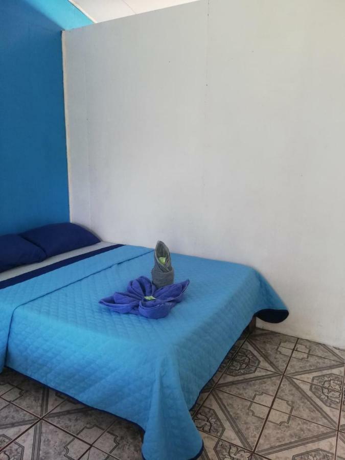 טורטוגוארו Cabinas Miss Miriam 2 מראה חיצוני תמונה